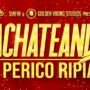 Bachateando el Perico Ripiao – Een nieuwe Caribische ervaring in Antwerpen