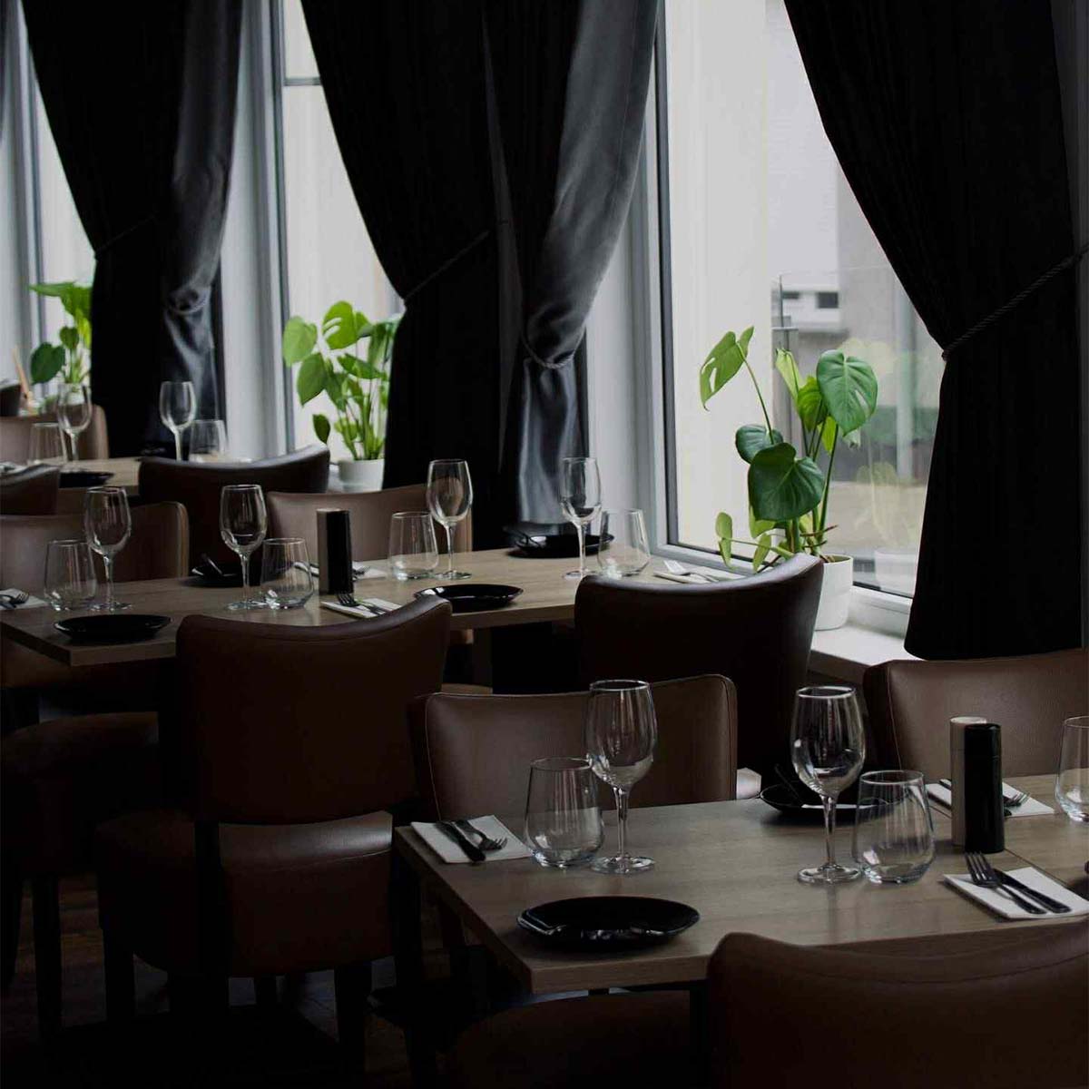 The Black Tree: een nieuw fine-dining icoon in de stad van Tomorrowland